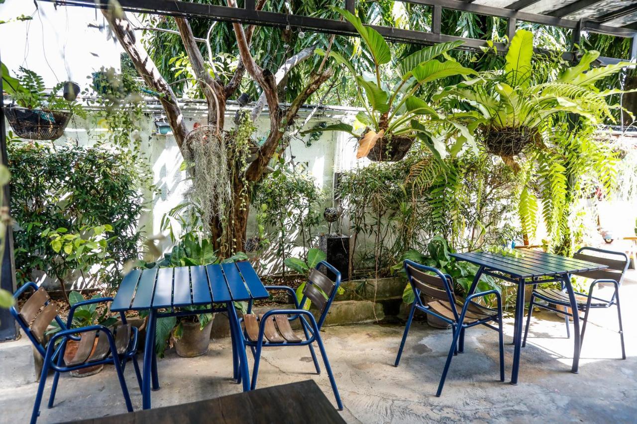 Sleep Guesthouse Чиангмай Экстерьер фото